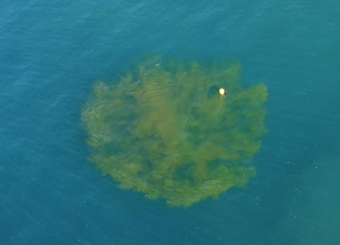 Explosión controlada de un proyectil sumergido en aguas del puerto de Melilla.