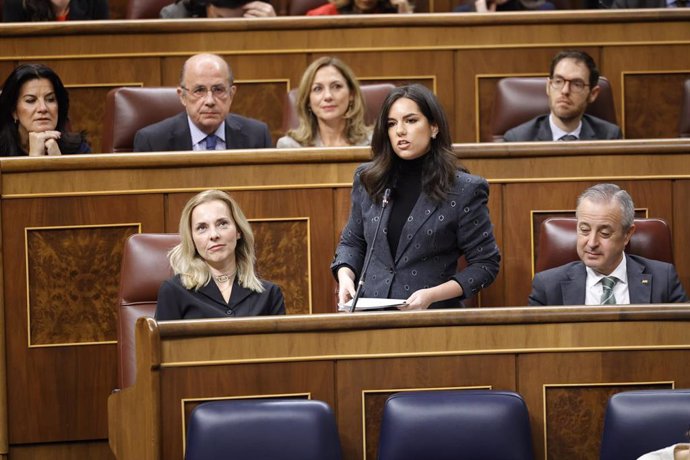 La portavoz de VOX en el Congreso, Pepa Millán, interviene durante una sesión de control al Gobierno, en el Congreso de los Diputados, a 18 de diciembre de 2024, en Madrid (España).