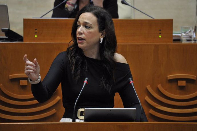 La consejera de Salud y Servicios Sociales, Sara García Espada, durante su intervención en el Pleno.