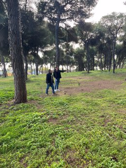 Visita al Pinar Espeso de Mairena del Alcor que acogerá el Campeonato de Andalucía Campo a Través.