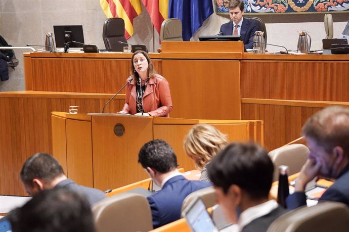 La diputada del PSOE María Rodrigo ha presentado la proposición de ley del Estatuto de la Mujer Rural.