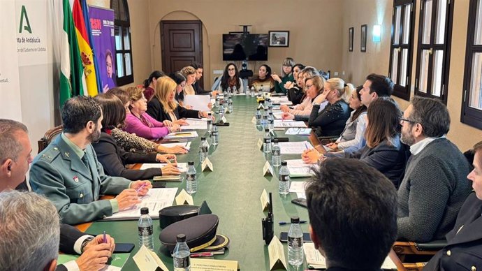 Reunión de la Comisión de Seguimiento contra la Violencia de Género en Córdoba.