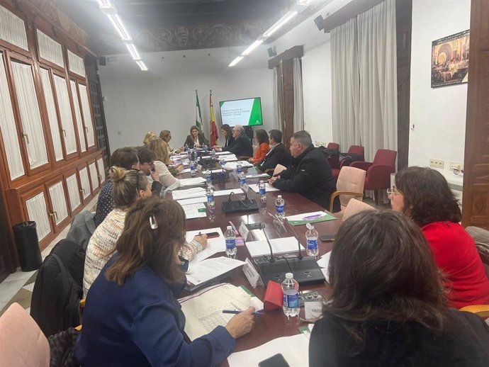 Reunión de la comisión provincial contra la violencia de género de Granada presidida por la coordinadora del IAM en Granada, Teresa Illescas, con la delegada de Inclusión Social de la Junta, Matilde Ortiz, a su derecha, al fondo en la imagen