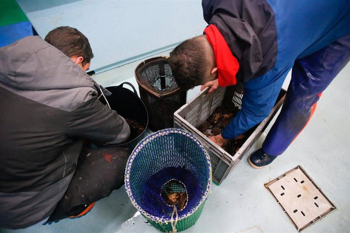 Archivo - Dos operarios de la lonja trabajan tras una salida a faenar del barco ‘Mariñeiro 2’, a 27 de diciembre de 2023, en Lugo, Galicia (España).