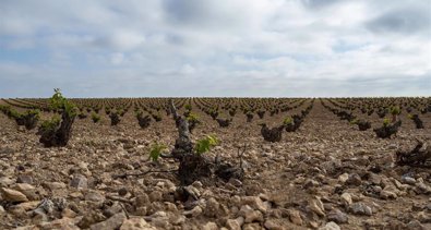 Castilla-La Mancha