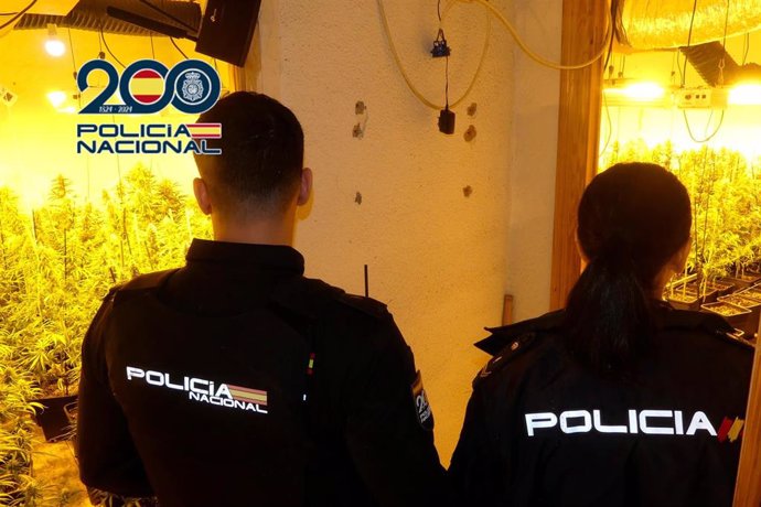 La Policía Nacional desarticula un entramado delincuencial dedicado a la plantación indoor de marihuana