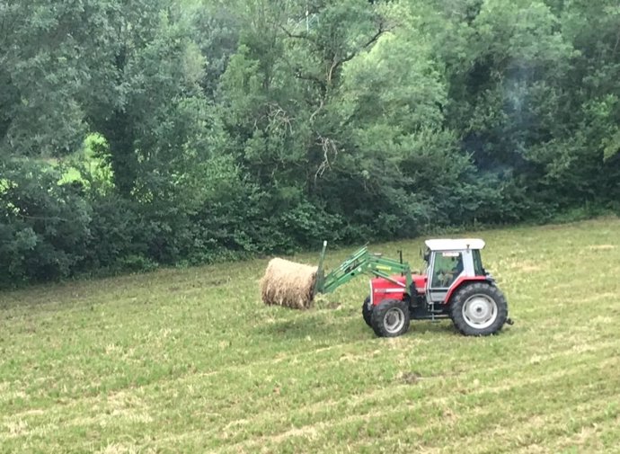 Archivo - Tractor, campo, labores agrícolas