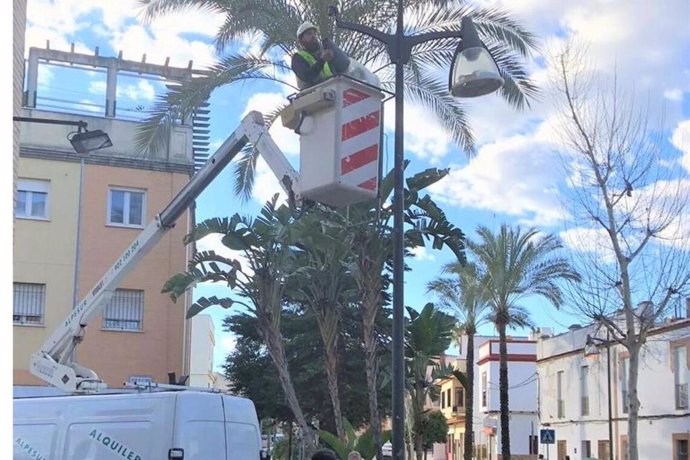 Instalación de luminarias en Alcalá de Guadaíra