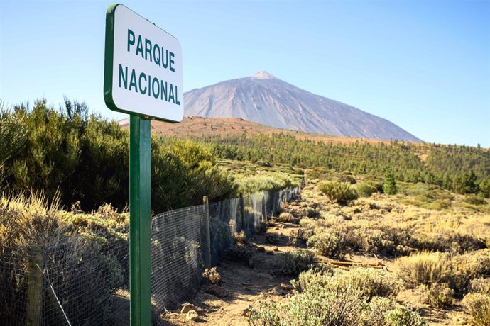 Archivo - Parque Nacional del Teide