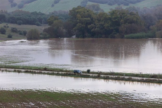 Archivo - Campos de la pedanía anegados por el agua. A 14 de noviembre de 2024, en San Pablo de Bucite, Cádiz (Andalucía, España). Zonas del campo de gibraltar ha sufrido  Inundaciones al paso de DANA como San Pablo de Buceite qu es una pedanía que se enc