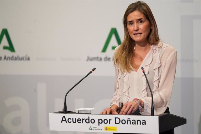 La vicepresidenta del Gobierno y ministra para la Transición Ecológica y el Reto Demográfico, Sara Aagesen, en la rueda de prensa en el Palacio de San Telmo tras la reunión con el presidente de la Junta.