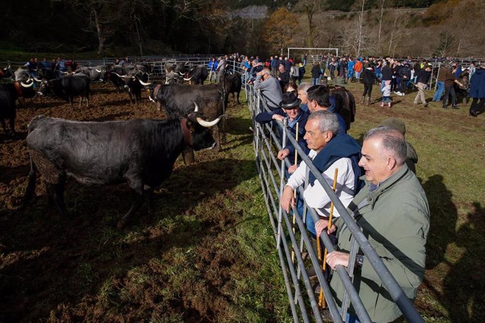 El consejero de Fomento asiste a la feria de Rionansa