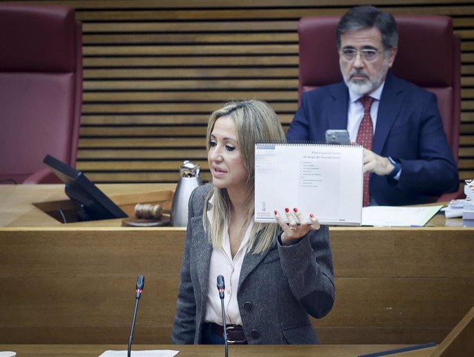 El PPCV defiende que el Consell "acompaña a los alcaldes desde el primer momento ayudando con la retirada de vehículos"