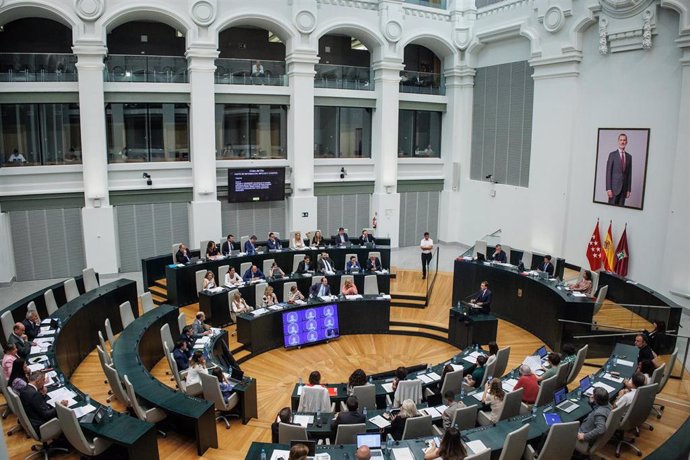 Archivo - Vista general de un pleno en el Ayuntamiento de Madrid, a 23 de julio de 2024, en Madrid (España). El Pleno de Cibeles baja hoy el cierre por vacaciones y trata temas como las viviendas de uso turístico (VUT), las becas comedor, la libertad de p