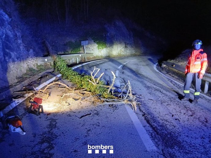 Los Bombers de la Generalitat atienden la caída de un árbol por el viento