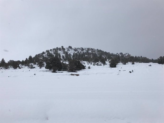 Archivo - Nieve, nevada, frío, temporal