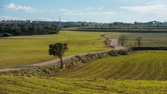 Una explotación agraria.