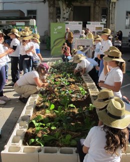 Cerca de 730.000 alumnos de 1.722 colegios participan este curso en la Línea de Actuación de Huertos Escolares.