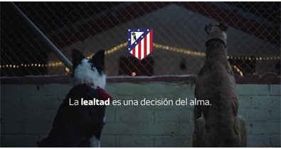 Fútbol