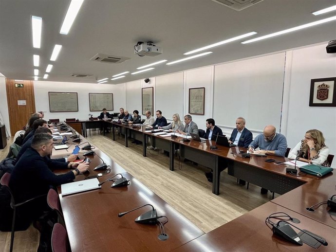 Un momento de la reunión de la Comisión Foral de Régimen Local