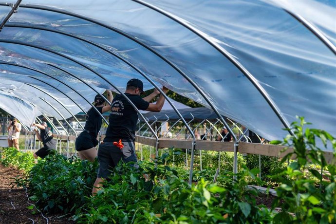 Un estudio analiza el impacto de la exposición a pesticidas en agricultores.