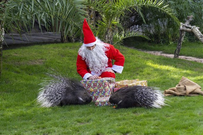 Papá Noel entrega sus regalos a los animales de Bioparc