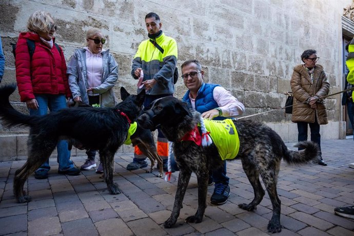 El concejal de Sostenibilidad del Ayuntamiento de Almería, Antonio Urdiales, invita a la adopción "responsable" de animales en Navidad.