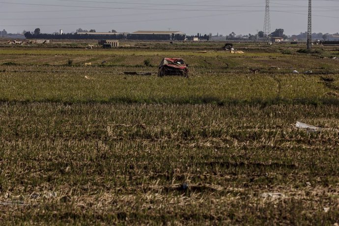 Restos de la DANA en un campo de arrozales en las inmediaciones de la Albufera, a un mes del paso de la DANA por Valencia, a 29 de noviembre de 2024, en Valencia, Comunidad Valenciana (España). La DANA ha dejado un total de 222 víctimas mortales y cuatro 