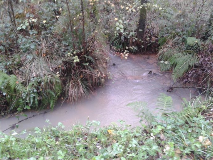 Vertido en el río Pucheiros.