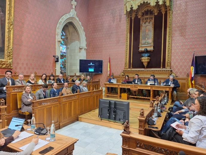 Pleno extraordinario del Consell de Mallorca, este martes.