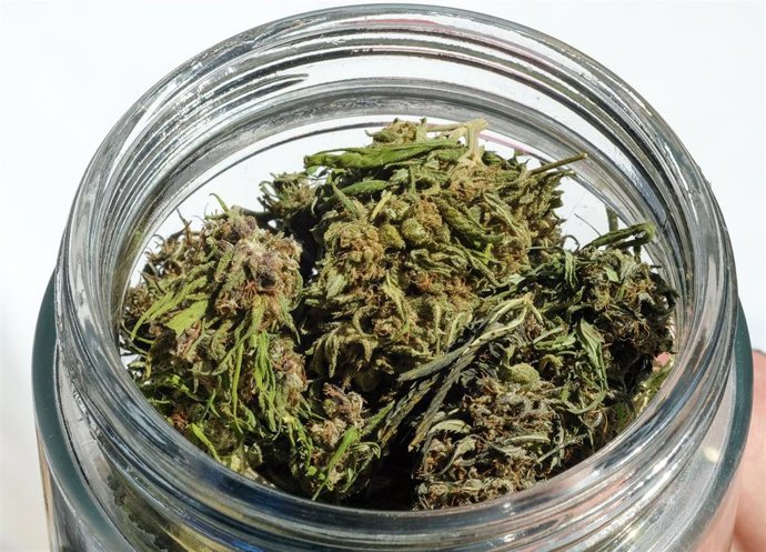 Archivo - FILED - 02 April 2019, Berlin: Dried hemp buds can be seen in a glass jar at the International Cannabis Business Conference ICBC at an exhibitor's stand. Photo: Jens Kalaene/dpa-Zentralbild/ZB