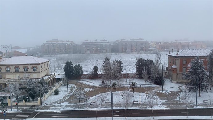 Archivo - Cencellada en Valladolid.