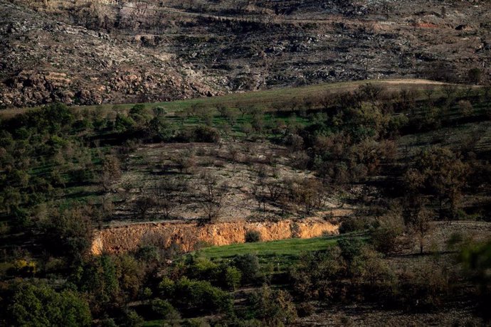 Archivo - Vista de una zona de vegetación afectada por el incendio desde  Alòs de Balaguer, a 11 de noviembre de 2022, en Artesa de Segre, Lleida, Catalunya