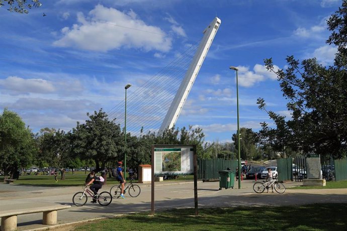 Archivo - Imagen del parque del Alamillo en Sevilla