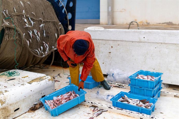 Un hombre trabaja en el Puerto de Arenys, a 11 de diciembre de 2024, en Arenys de Mar, Barcelona, Catalunya (España). 
