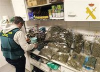 Desmantelan un supuesto "club botánico" en Mojácar (Almería) destinado a la distribución de drogas