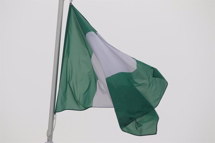 Archivo - October 10, 2024, Saint Petersburg, Russia: The national flag of the Federal Republic of Nigeria, fluttering in the wind on a flagpole in Saint Petersburg, Russia.