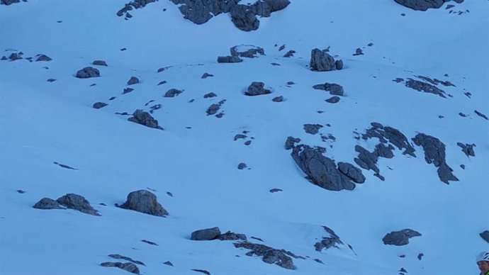 Búsqueda del joven montañero leonés desaparecido en Picos de Europa