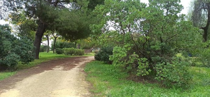 Imagen del parque Cavaleri, en Mairena del Aljarafe