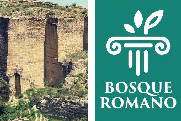 Imagen del proyecto 'Bosque Romano'
