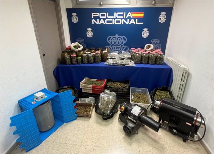 Efectos intervenidos en la operación.