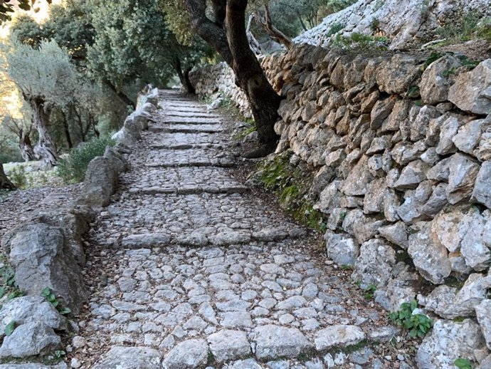 Un camino de 'pedra en sec' y un 'marge'.