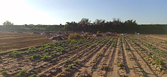 L'Albufera de València afectada per la dana