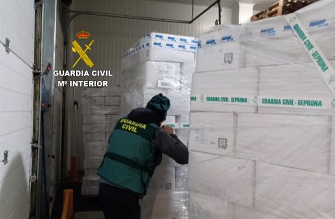 Intervenidas 270 toneladas de productos del mar congelados