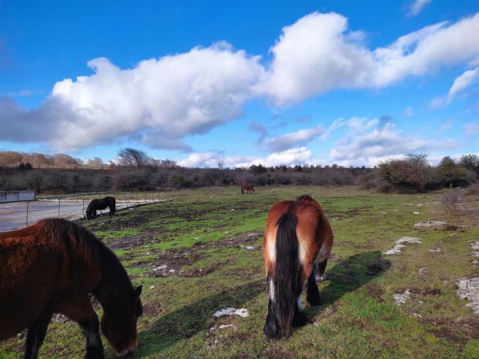 Archivo - Cielo con algunas nubes en Orduña (Bizkaia)