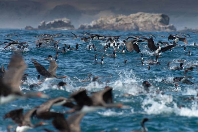 Archivo - Un centenar de pescadores no pueden regresar a Perú por el temporal