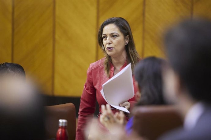 Archivo - La diputada del Grupo Parlamentario Socialista, María Isabel Ambrosio, en una imagen de archivo.