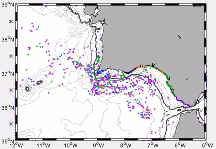 Modelo del movimiento de microplásticos en el Golfo de Cádiz.