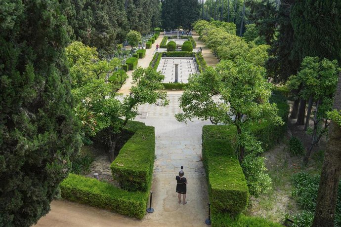 Archivo - Imagen de recurso del Real Alcázar de Sevilla. 