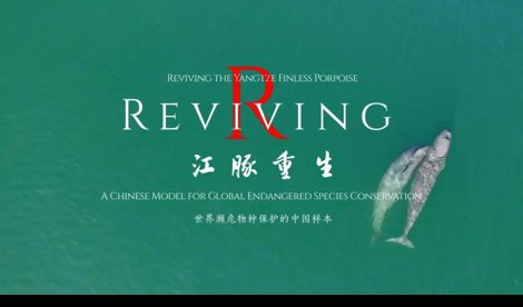 Comunicados Sociedad